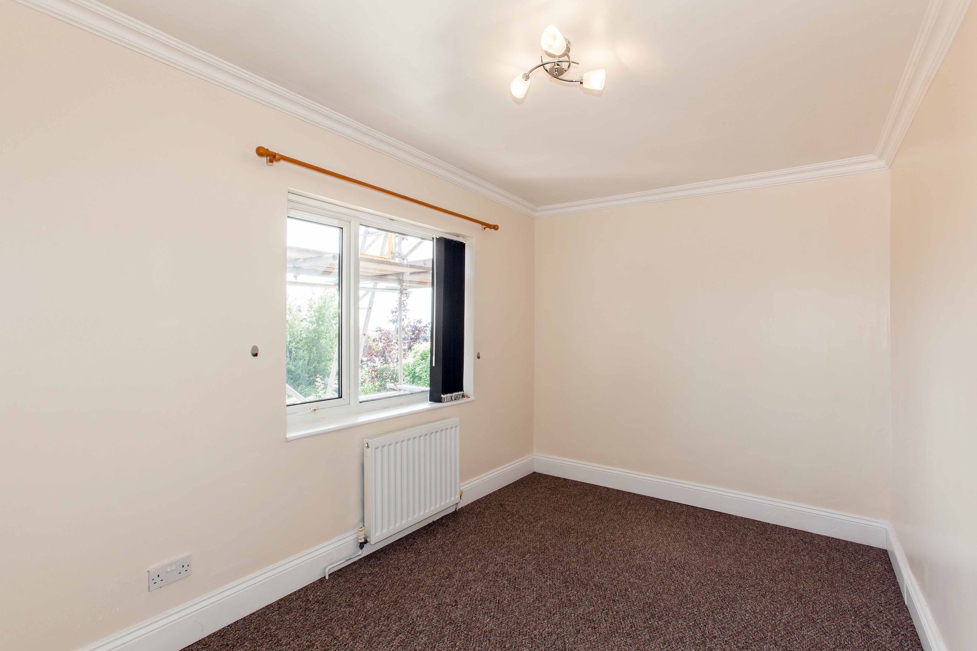 24RoseAve11.jpg